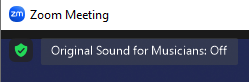 Zoom sound toggle